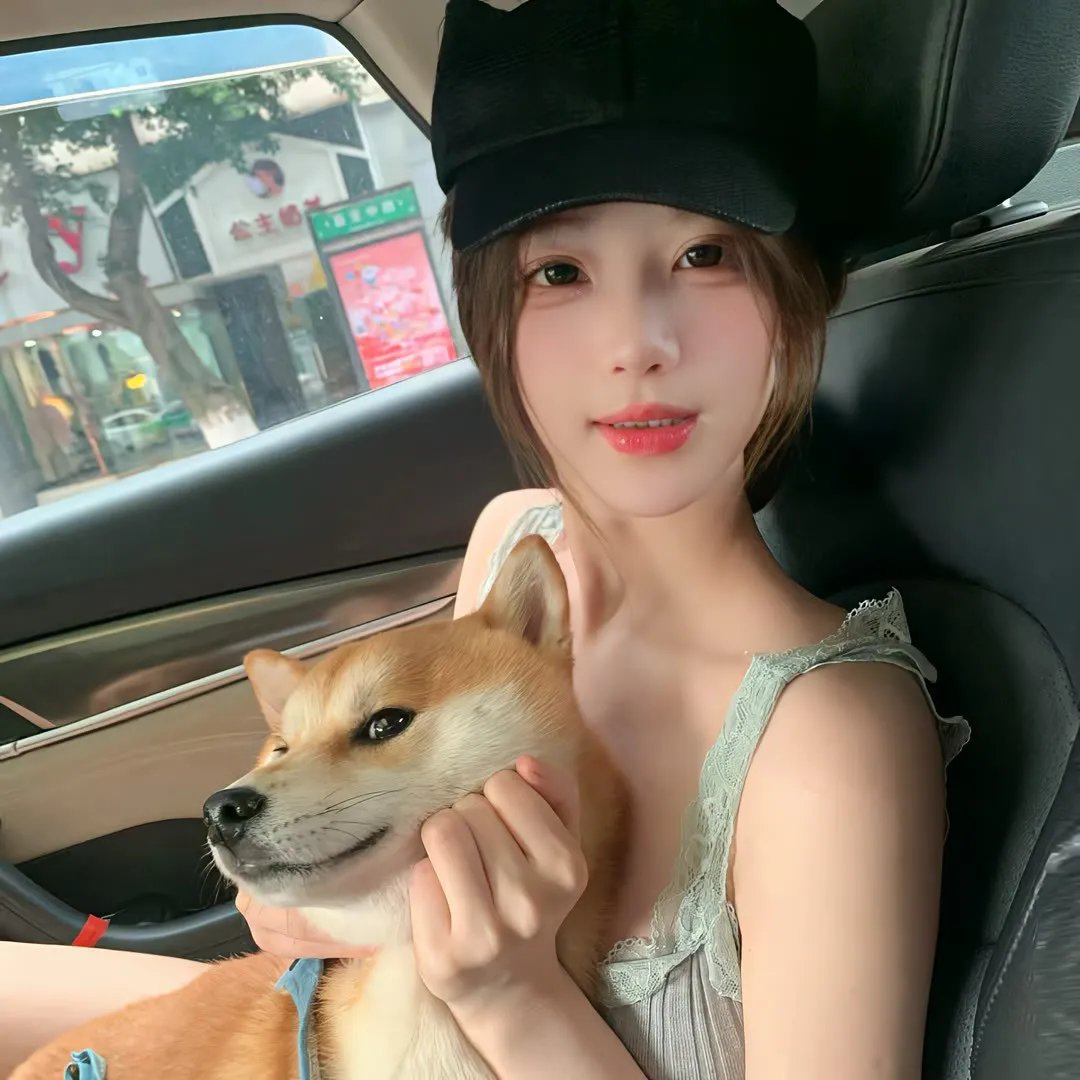 动画动漫
